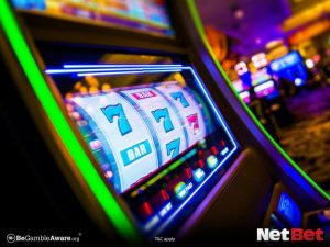 wwedpg - Cassino Bet Oficial