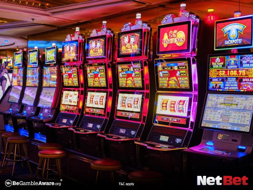 wwedpg - Slot Oficial Jogos